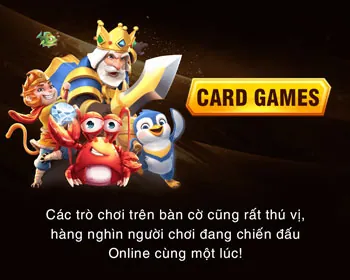 Chân dung giám đốc công nghệ của nohu 88 nhà cái