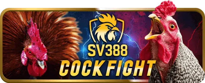 Đánh giá chuyên sâu nohu 88 nhà cái